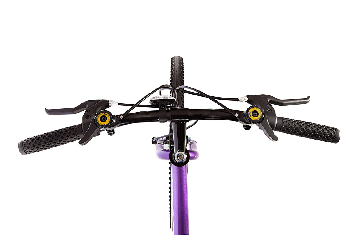 Wildcat 18-Speed Women's Mountain Bike, Purple and Black