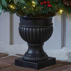 5 ft Woodmore Potted Christmas Tree 2-Pack