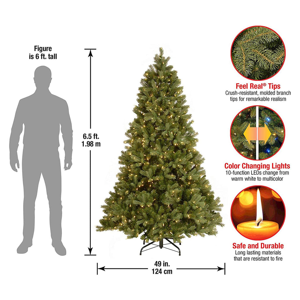 National Tree Company Clear Prelit Dual LED Green Fir Downswept Douglas Christmas Tree, 6.5'