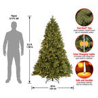 National Tree Company Clear Prelit Dual LED Green Fir Downswept Douglas Christmas Tree, 6.5'