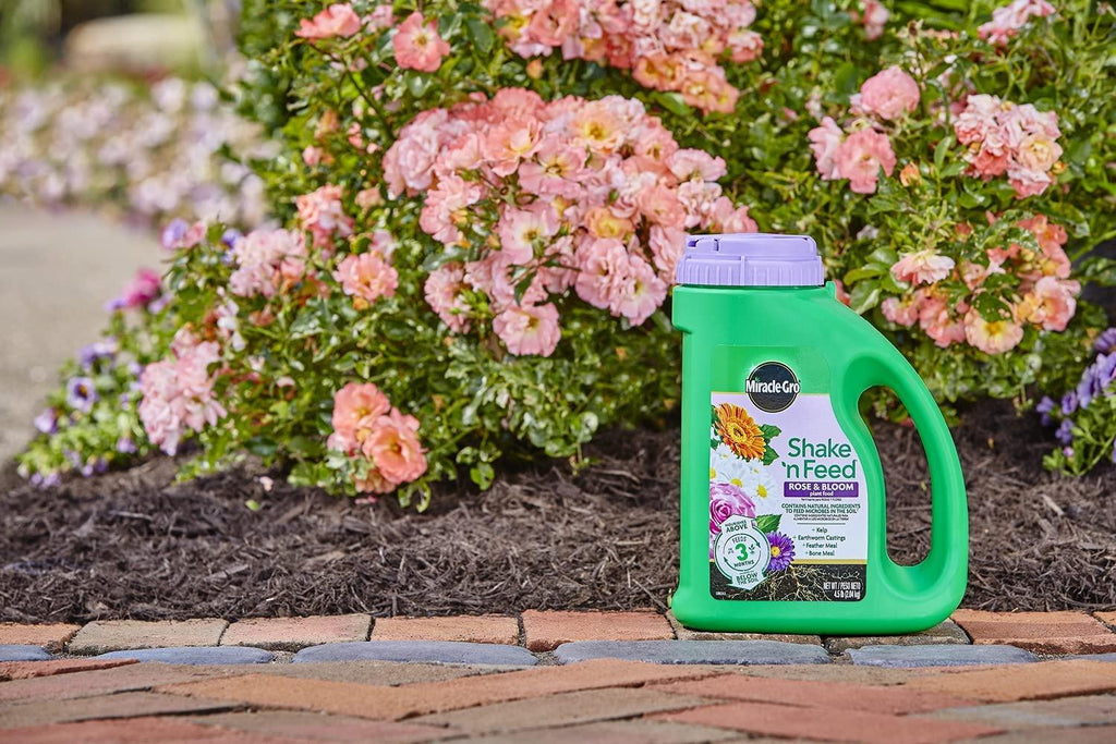 miracle-gro shake 'n feed rose &amp; bloom plant food, plant fertilizer, 4.5 lbs. (6-pack)