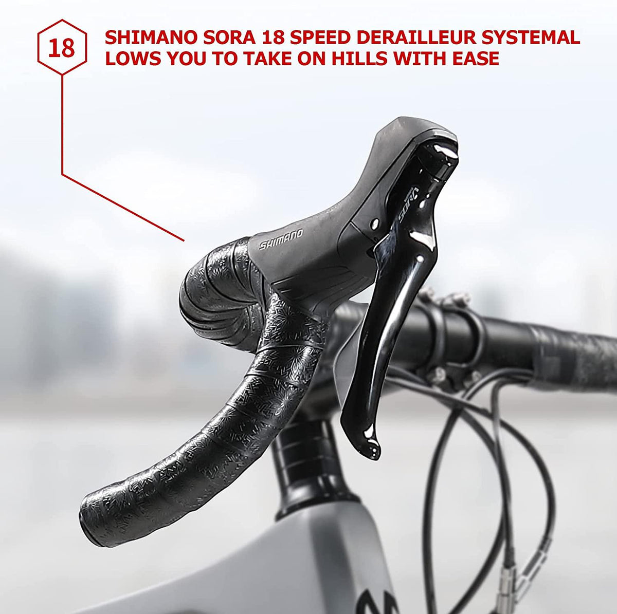 SAVADECK Carbon Gravel Road Bike, R3000 700C Carbon Fiber Bicycle with  SORA 18 Speeds Disc Brake Road Bike 40C CST Tires