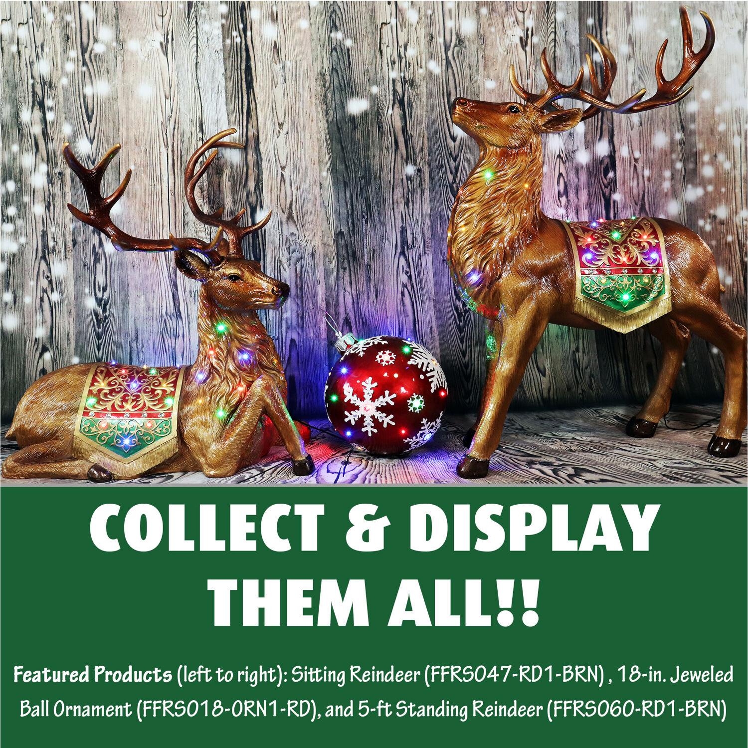 Fraser Hill Farm Indoor/Outdoor Oversized Christmas Decor w/ Long-Lasting LED Lights, 18-In. Jeweled Ball Ornament w/Snowflake  in Red