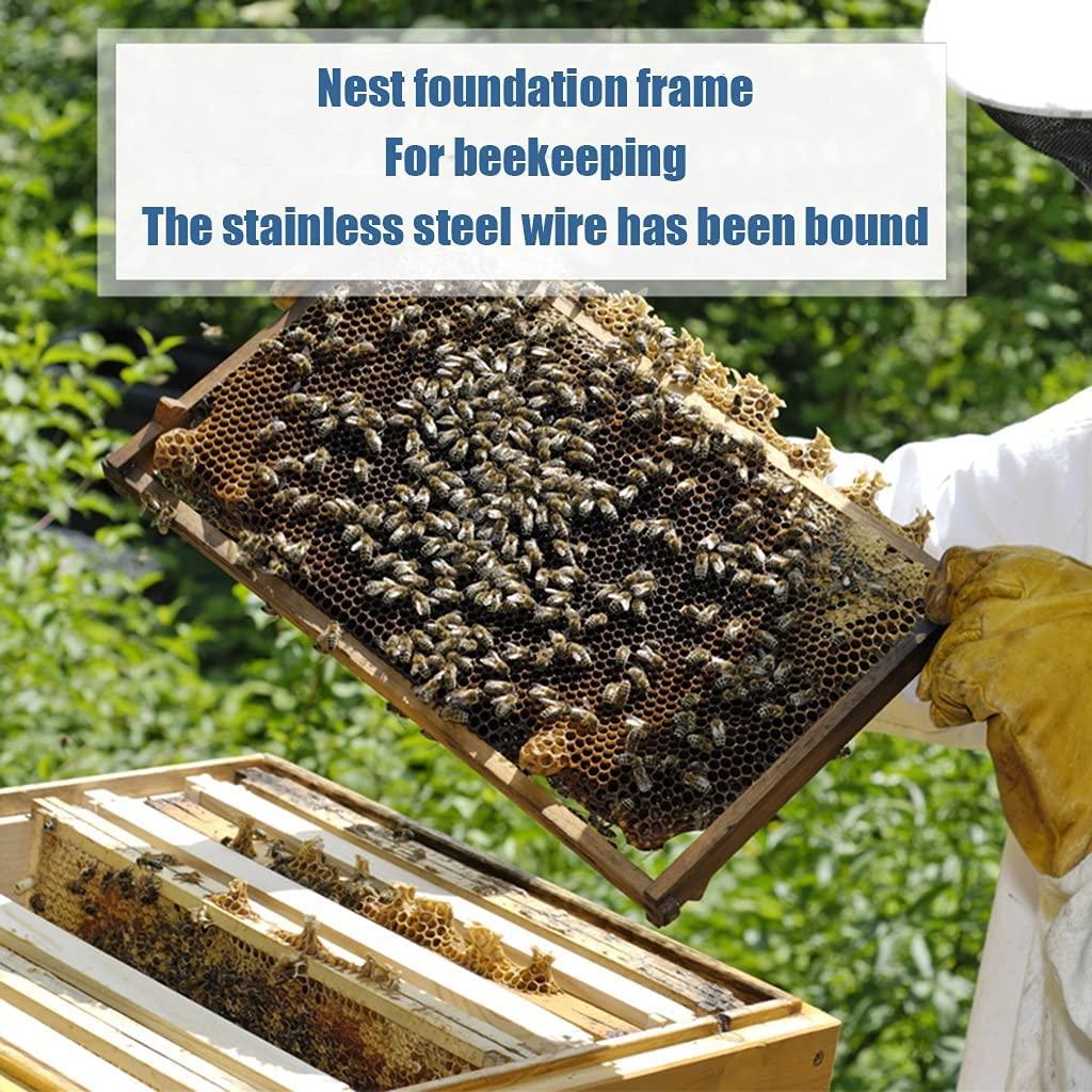 beehive, 10 frame wood bee house box, beekeeping supplies equipment tool, w/base wood complete honey bee hives kit, for beekeeper starter (color : primary color, size : 10 frame+10 base)
