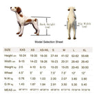 CHZHUTUI Adjustable Dog Wheelchair - (2 Rounds) Dog Pull Rod Wheel Dog WalFoot Scooter Disabled Dog Assisted Hind Leg Rehabilitation Leg Exercises, Dog, Cat, Scooter
