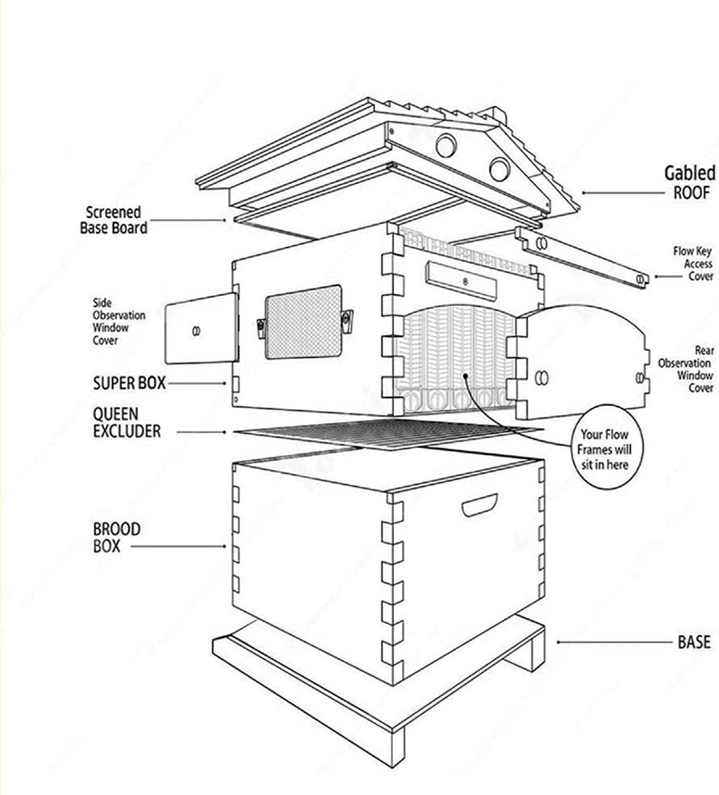 adasea flow hive, auto flow beehive, beekeeping wooden house with 7 pcs auto honey beehive frame, food grade bpa free (beehive frame+wooden box)