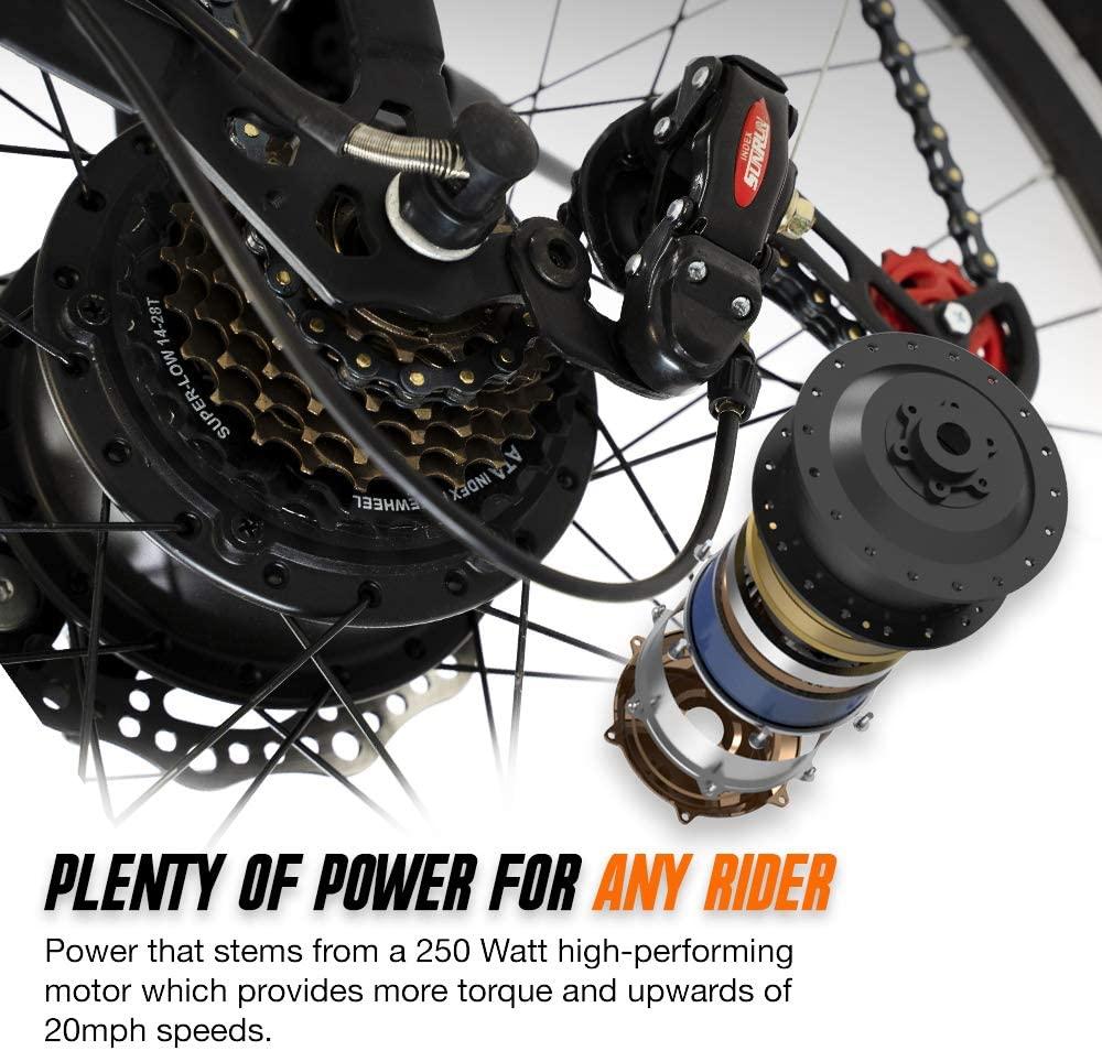 EPIKGO Electric Bike 250W Motor Powered Mountain Bicycle 26" Tire, 20MPH Adult Ebike with P.A.S and 21 Speed-Gear Shifter 36V/8AH Removable Lithium Battery