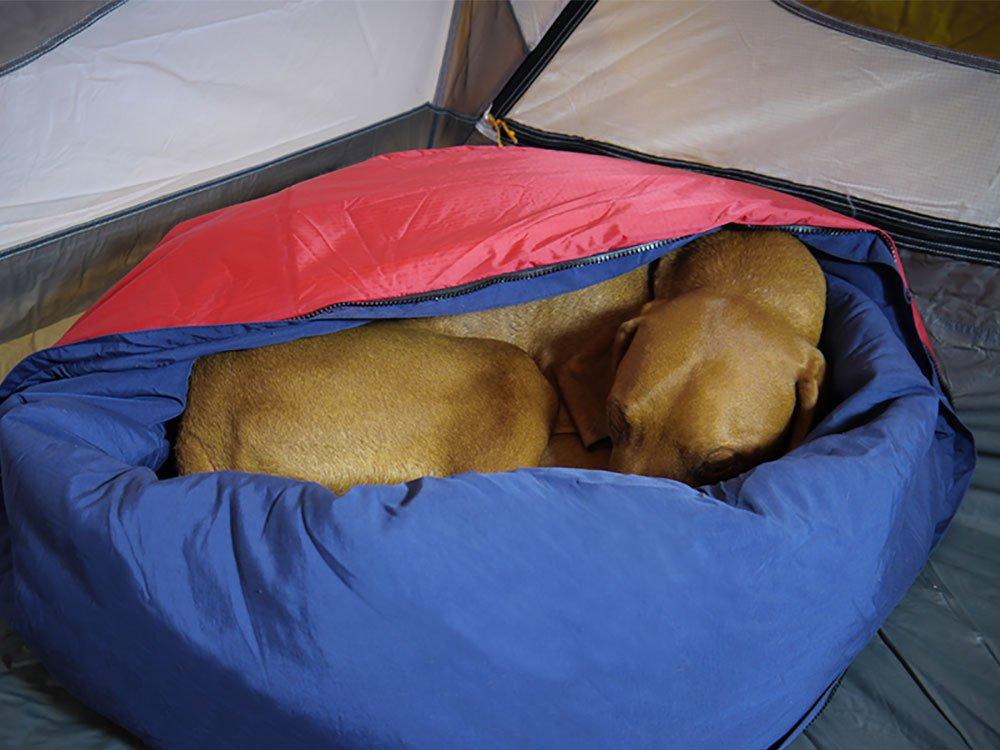 Noblecamper 2-in-1 Dog Bed and Sping Bag