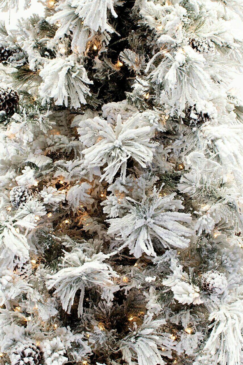 7.5' Flocked Pine Long Needle Prelit Artificial Christmas Tree