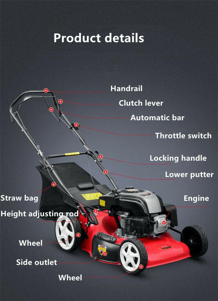 Simple Hand Push Self Propelled Lawn Mower Gasoline Four Stroke Farm 173cc