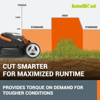 14" Cordless Lawn Mower, 2 in 1 Electric Mower Cuts Quietly, Compact &amp; Lightweight Push Lawn Mower with 6-Position Height Adjustment for Small Yards, 2 Batteries &amp; Charger Included, WG779