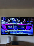 lg 65 inch oled tv
