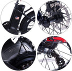 SOHOO 48V500W13AH 20"x4.0 Adult Folding Fat Tire E-Bike Mountain Electric Bicycle Beach Cruiser Snow Bike (White)