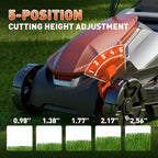13 Inch Electric Lawn Mower, 2×20V Brushless Mower with 5-Position Height Adjustment, Cordless Push Lawn Mower, 2×5.0Ah Batteries &amp; Charger Included