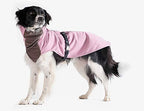 XIAOXIAN Dog Lion Dance Clothes Pet Dragon Dance Funny Little LarDog Teddy Year Cat Dog (Size : S)