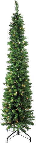 Joedot 6 ft. Traditional Green Pine Pencil Pre-lit Christmas Tree