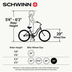 Schwinn Wayfarer Adult Bike Hybrid Retro-Styled Cruiser, 16-Inch/Small Steel Step-Through Frame, 7-Speed Drivetrain, Rear Rack, 700C Wheels, White