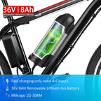 Aceshin 26'' Electric Bike, Electric Bicycle with 36V 8Ah Removable LarCapacity Lithium-Ion Battery, 250W Motor and Professional 21 Speed Gear