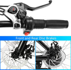 Aceshin 26'' Electric Bike, Electric Bicycle with 36V 8Ah Removable LarCapacity Lithium-Ion Battery, 250W Motor and Professional 21 Speed Gear