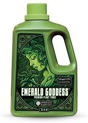 emerald goddess (1 gallon)
