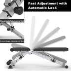 Leikefitness Dumbbell Weight Bench Adjustable Benches Incline Decline Workout Gym 660 lb Adjustment