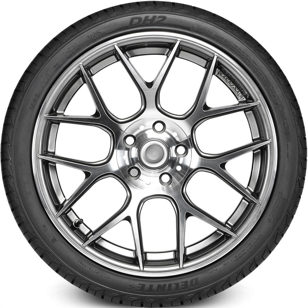 Delinte DH2 225/55R18 ZR 102W XL A/S High Performance Tire