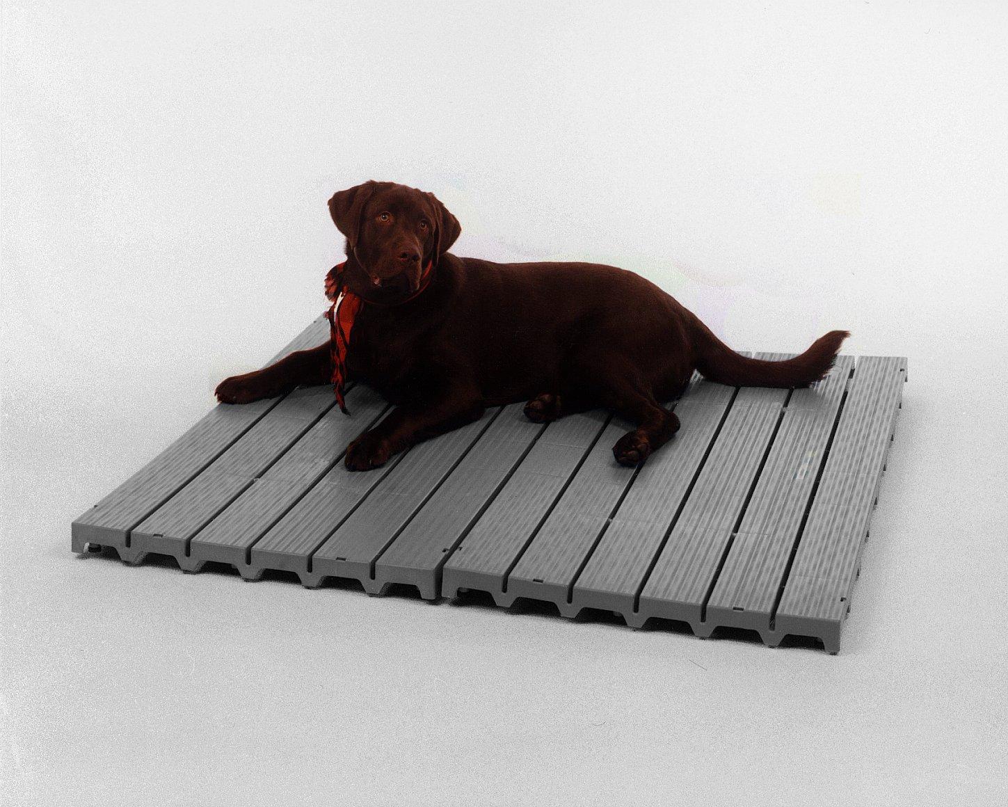 Kennel Deck 6 Pack