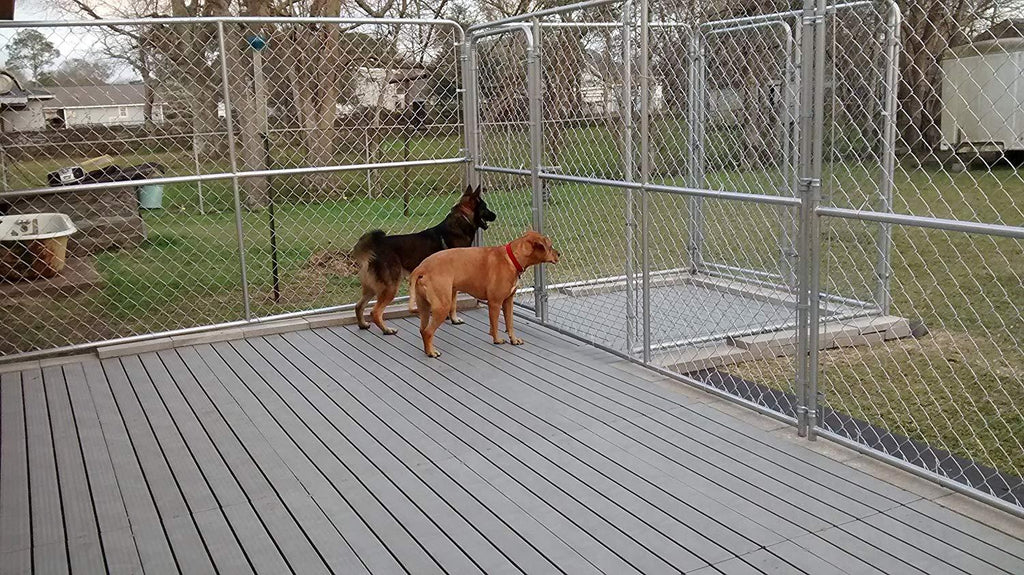 Kennel Deck 6 Pack