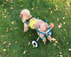 LYLYSS Pet Dog Wheelchair Disabled Dog Wheelchair,