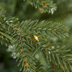 9 ft Jackson Noble Fir Christmas Tree