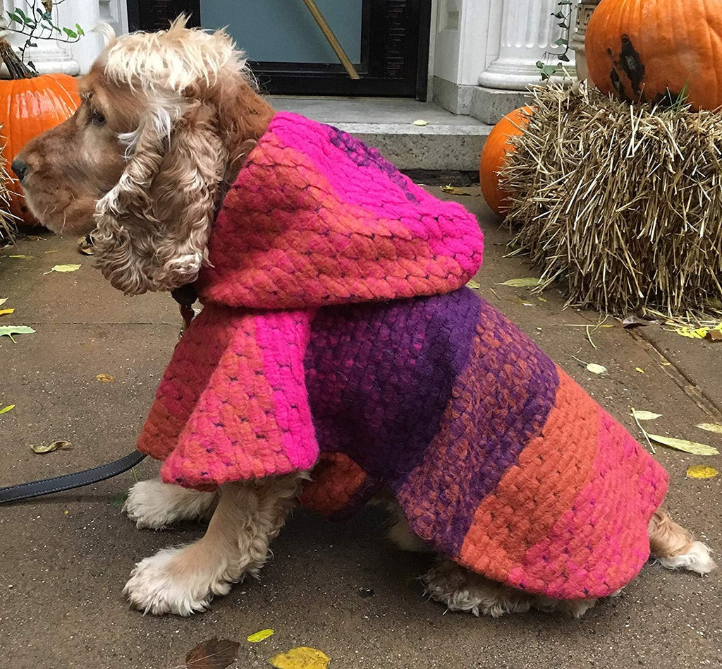 Jake Great Chunky Dog Multicolor Wool Hooded Poncho