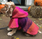 Jake Great Chunky Dog Multicolor Wool Hooded Poncho