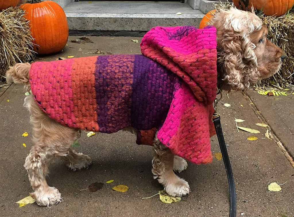 Jake Great Chunky Dog Multicolor Wool Hooded Poncho