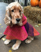 Jake Great Chunky Dog Multicolor Wool Hooded Poncho