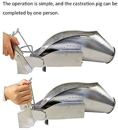 nevup pig castration fixation bracket,livestock bundle tool,stainless steel piglet cutting platform,fixed pig livestock,no struggle