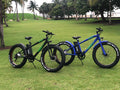 BES Wild Electric Bicycle - Blue 26 In. Affordable E-Bike