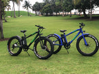 BES Wild Electric Bicycle - Blue 26 In. Affordable E-Bike