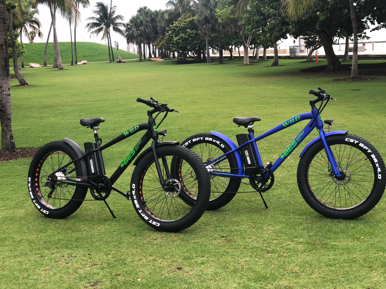 BES Wild Electric Bicycle - Blue 26 In. Affordable E-Bike