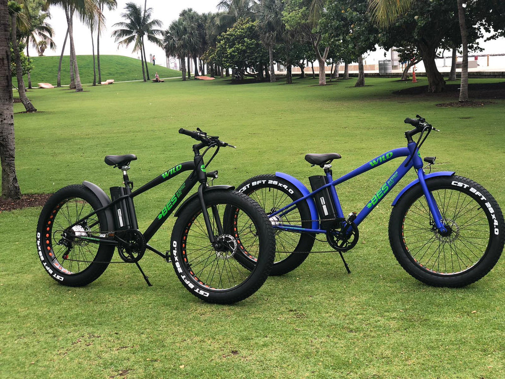 BES Wild Electric Bicycle - Blue 26 In. Affordable E-Bike