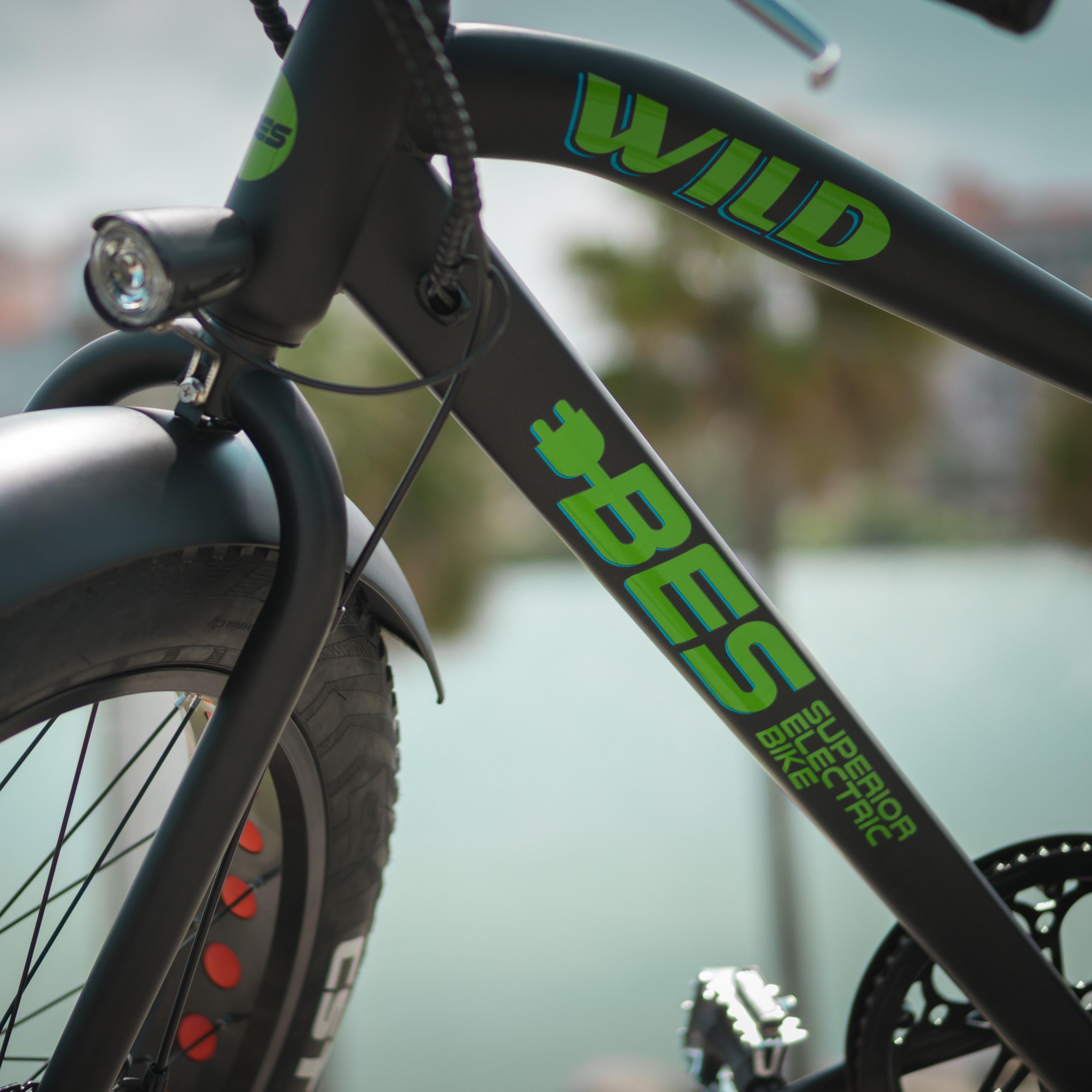 BES Wild Electric Bicycle - Blue 26 In. Affordable E-Bike