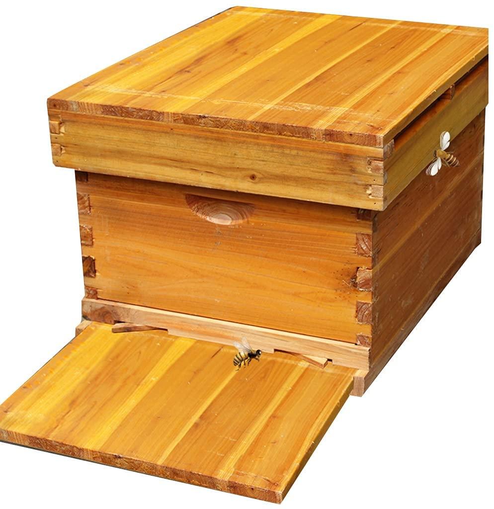 beehive, 10 frames honey bee hive box wooden, bee keeping supplies starter kit for beginners, with beehive frames and foundation (color : wood, size : 10 frame+4 nest frame)