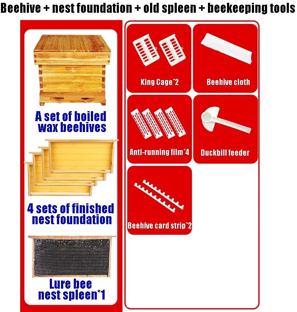 beehive, 10 frames honey bee hive box wooden, bee keeping supplies starter kit for beginners, with beehive frames and foundation (color : wood, size : 10 frame+4 nest frame)