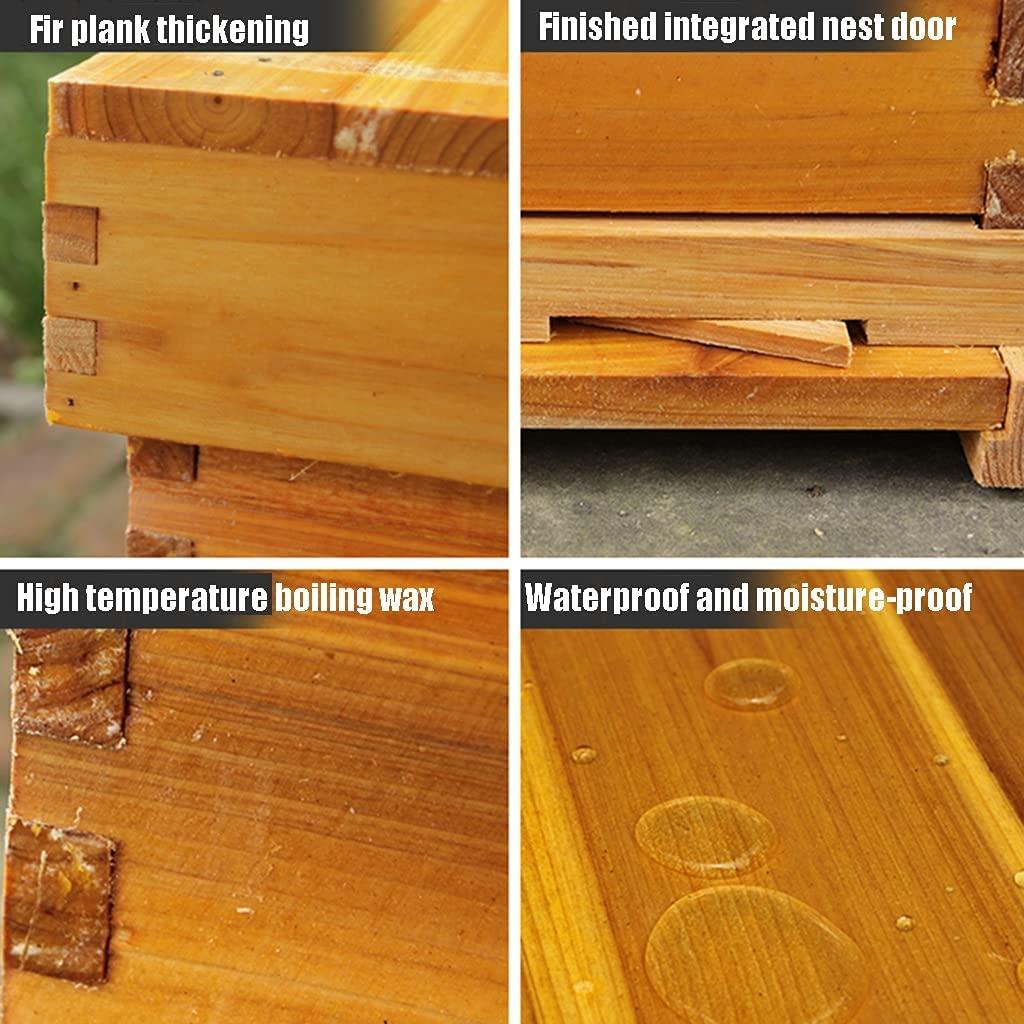beehive, 10 frames honey bee hive box wooden, bee keeping supplies starter kit for beginners, with beehive frames and foundation (color : wood, size : 10 frame+4 nest frame)