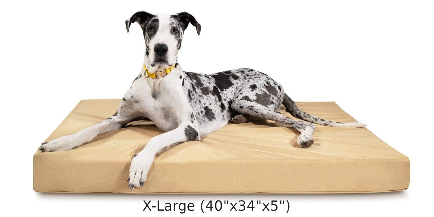 K9 Ballistics Tough Orthopedic Dog Bed Rectangle, Nearly Indestructible &amp; Chew Proof, Chew Resistant, Small Medium &amp; LarOrtho Pillow for Chewing Puppy, Joint Support Mattress, Foam Dog Mat