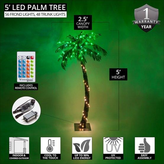 Wintergreen Lighting 5 Ft. Multi-Function Lighted Palm Tree with 104 LED Lights, Remote Control, Indoor/Covered Outdoor Use