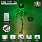 Wintergreen Lighting 5 Ft. Multi-Function Lighted Palm Tree with 104 LED Lights, Remote Control, Indoor/Covered Outdoor Use