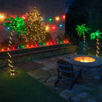 Wintergreen Lighting 5 Ft. Multi-Function Lighted Palm Tree with 104 LED Lights, Remote Control, Indoor/Covered Outdoor Use