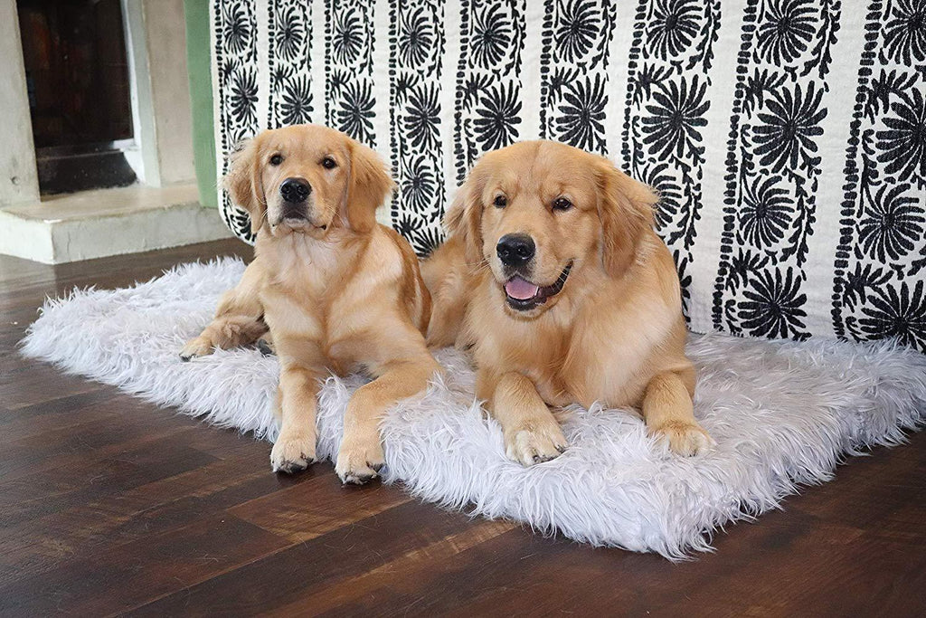 Treat A Dog Puprug  Fur Memory Foam Orthopedic Dog Bed, Premium Memory Foam Base, Ultra-Soft  Fur Cover, Modern and Attractive  (Multiple Sizes &amp; Styles)
