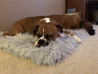 Treat A Dog Puprug  Fur Memory Foam Orthopedic Dog Bed, Premium Memory Foam Base, Ultra-Soft  Fur Cover, Modern and Attractive  (Multiple Sizes &amp; Styles)