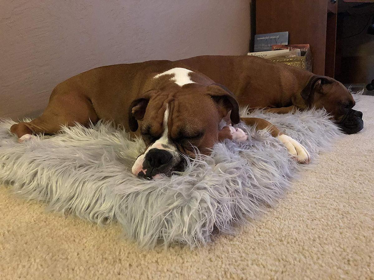 Treat A Dog Puprug  Fur Memory Foam Orthopedic Dog Bed, Premium Memory Foam Base, Ultra-Soft  Fur Cover, Modern and Attractive  (Multiple Sizes &amp; Styles)